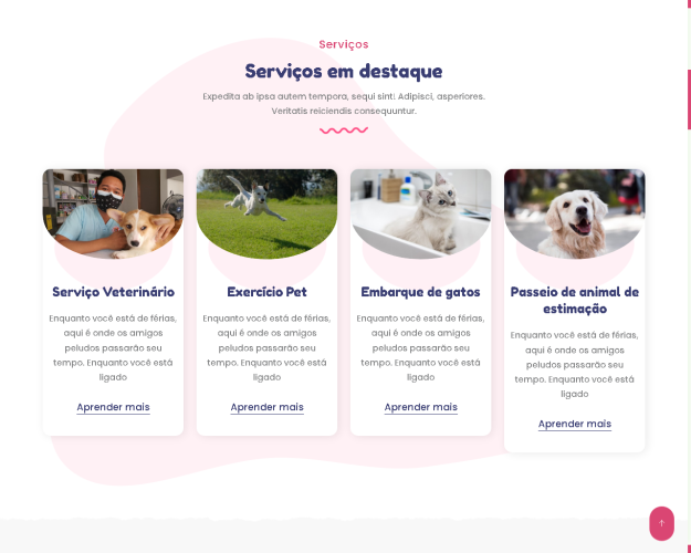 Script Para Pet Shop